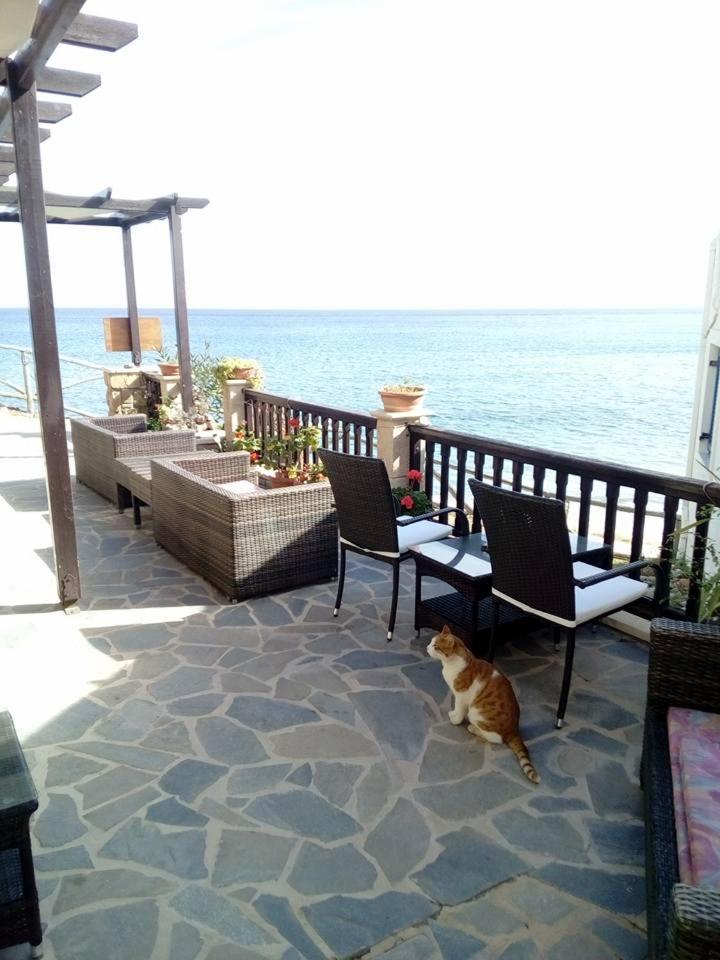 Coral Front Beach Káto Zákros Dış mekan fotoğraf
